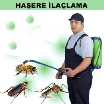 Muratpaşa Böcek İlaçlama